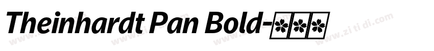 Theinhardt Pan Bold字体转换 Theinhardt Pan Bold字体转换